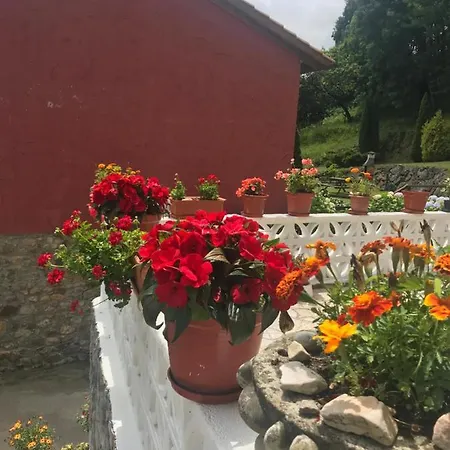 Casa El Castaneu Holiday home *